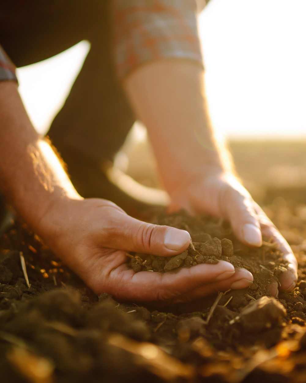 Agriculteur avec les mains dans la terre