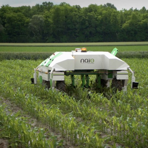 Image Innovation & R.D.