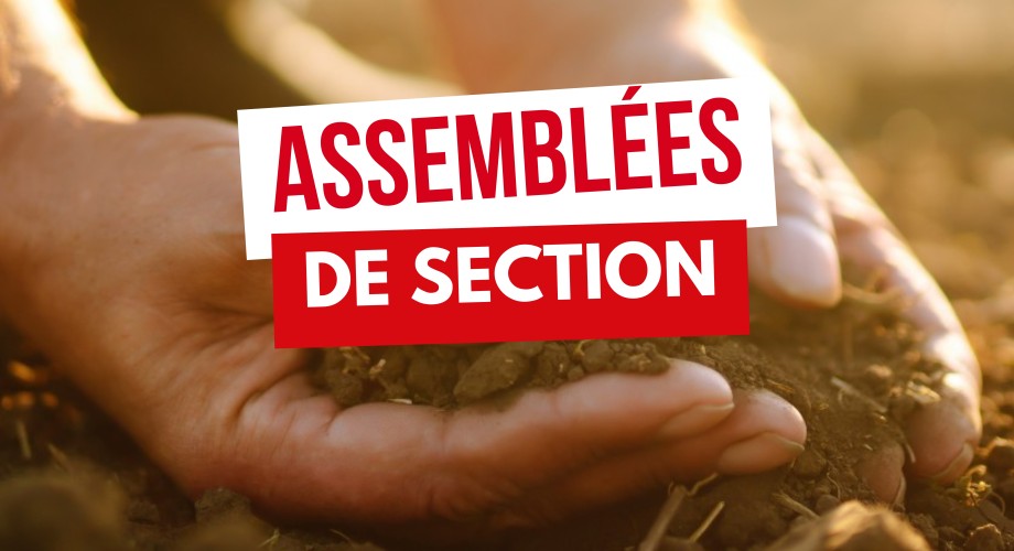 ASSEMBLEES DE SECTION 2025