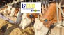 LOCARB : L’aliment local et bas carbone par Moulin Jacquot !