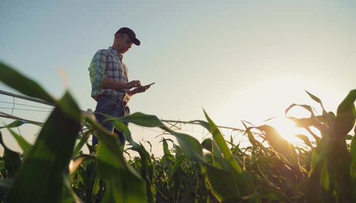 Un agriculteur dans son champ