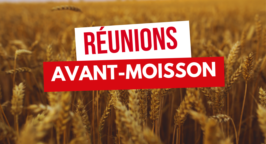 Résumé des réunions avant moisson 2025