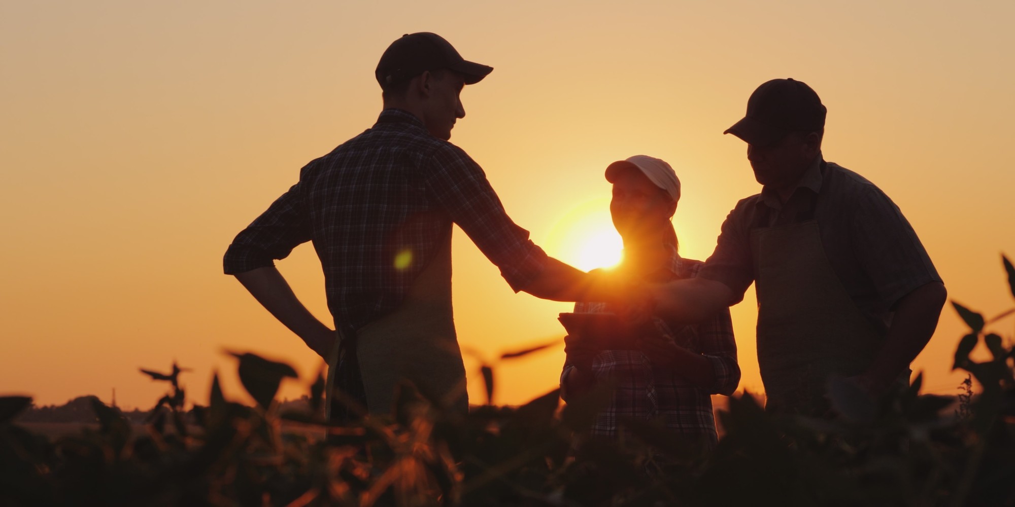 Un groupe d'agriculteur qui discute sous un couché de soleil