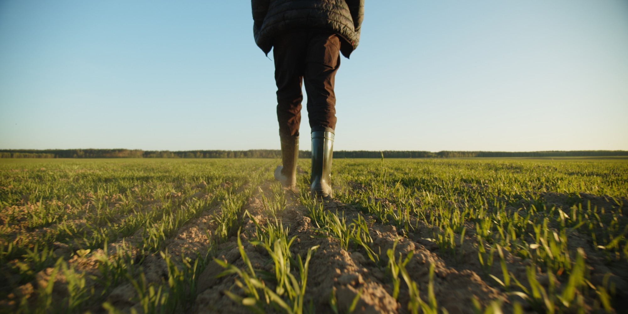 Agriculteur qui marche dans son champ